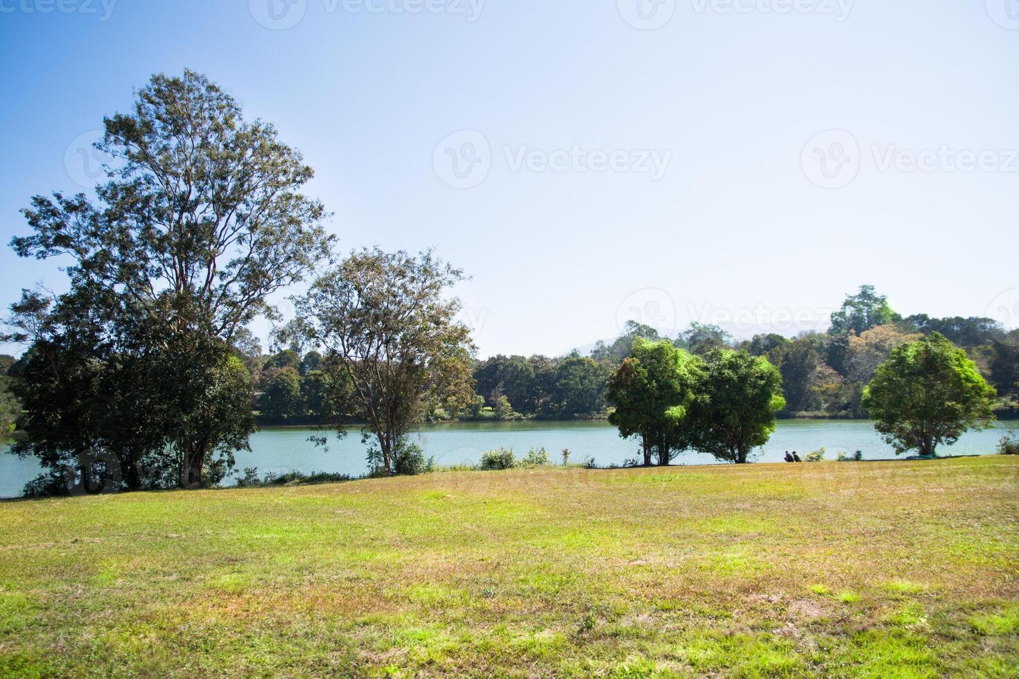 landschap in het Khao Yai National Park foto