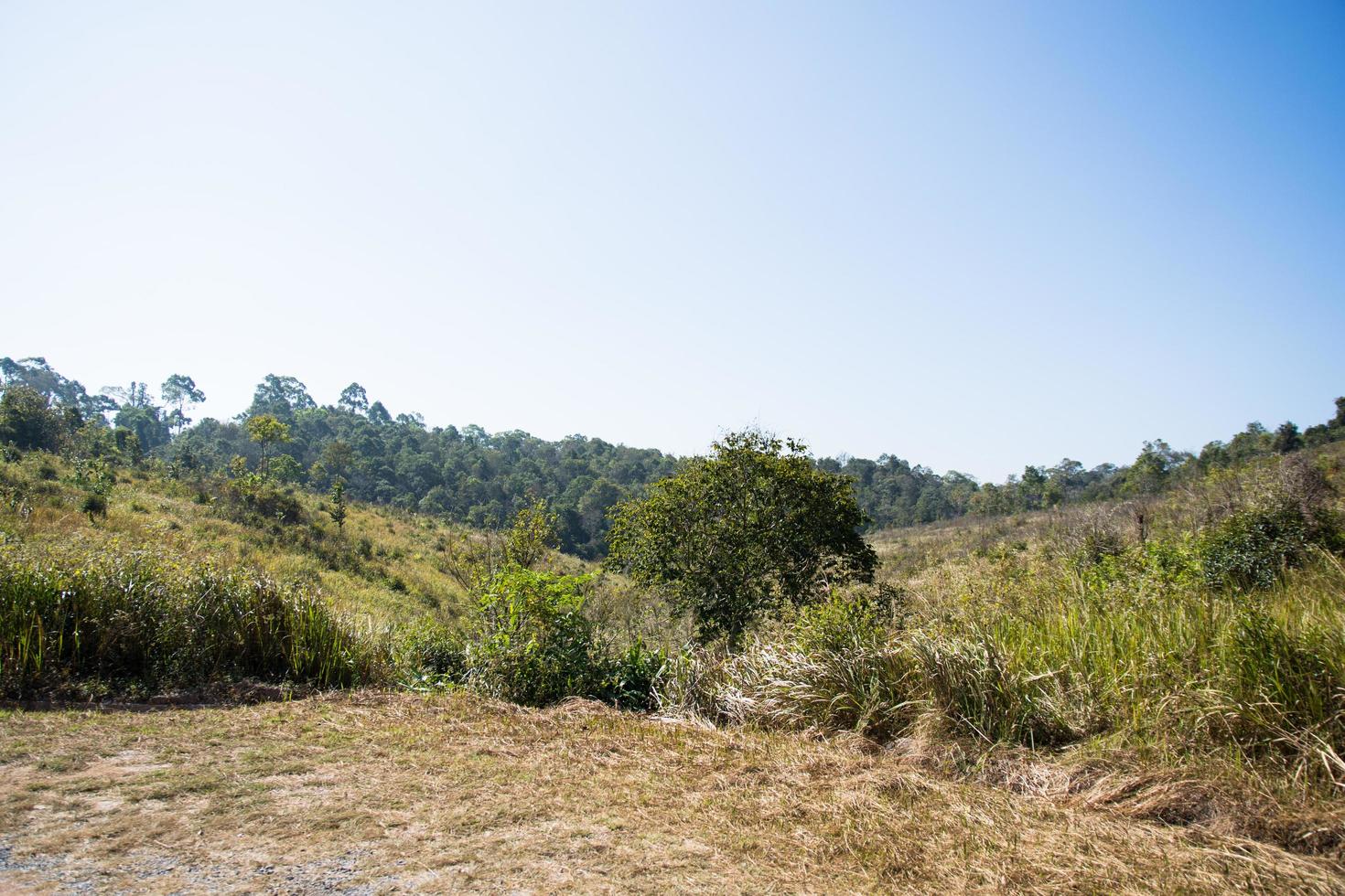 landschap in het Khao Yai National Park foto