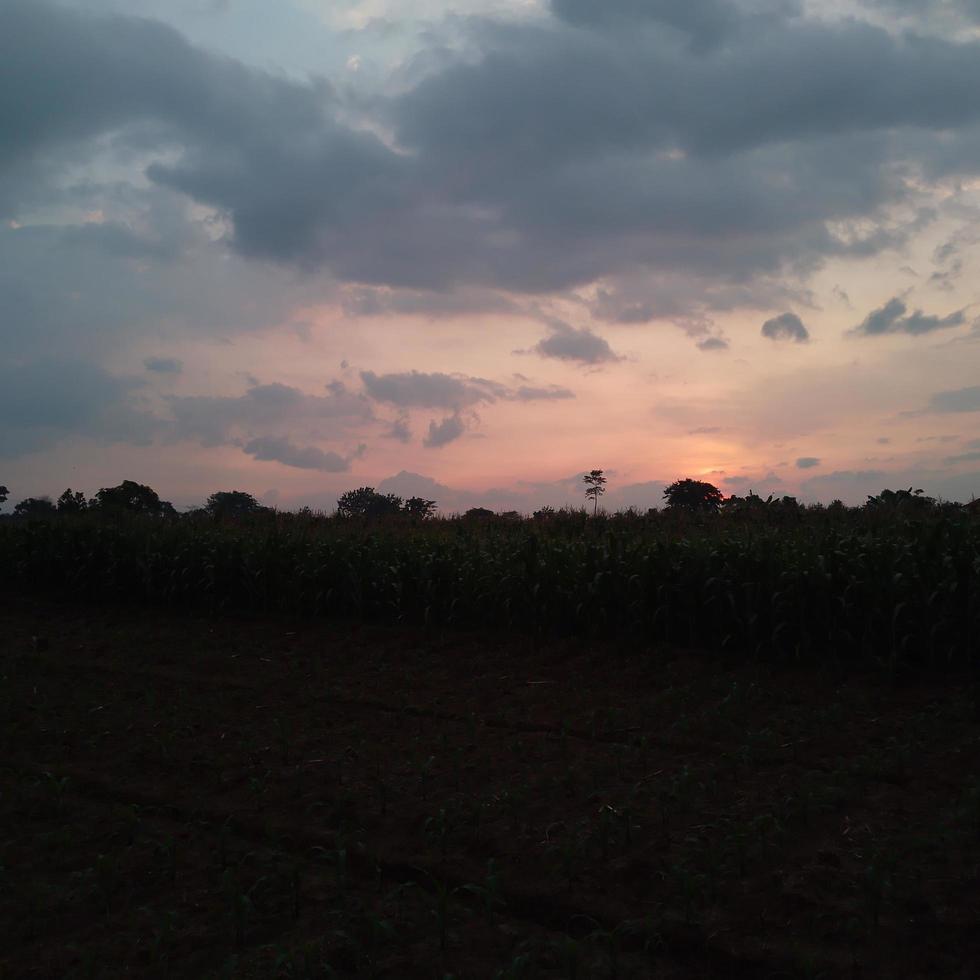 natuur foto Bij zonsondergang in de platteland