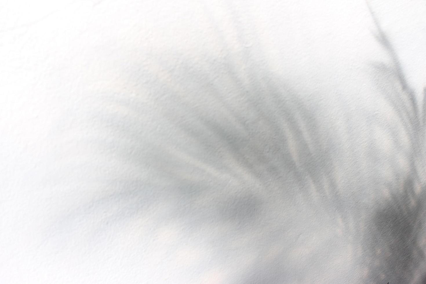 abstracte grijze schaduwachtergrond foto