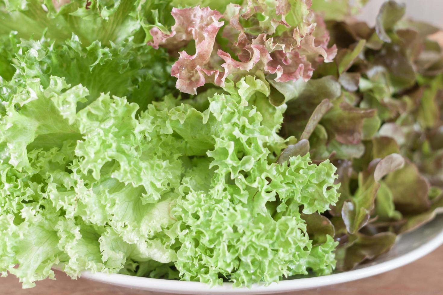 close-up van salade foto