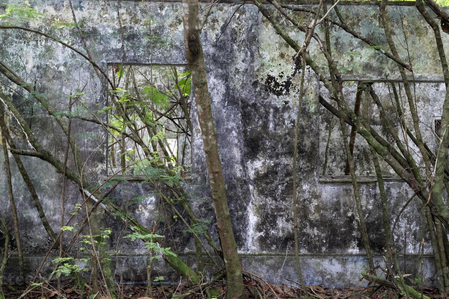 verlaten toevlucht in de tropisch oerwoud foto