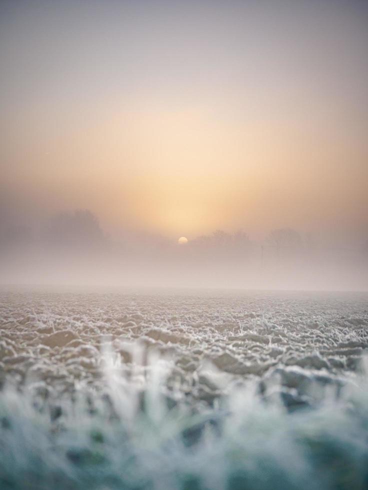 zonnige ochtend in de winter foto