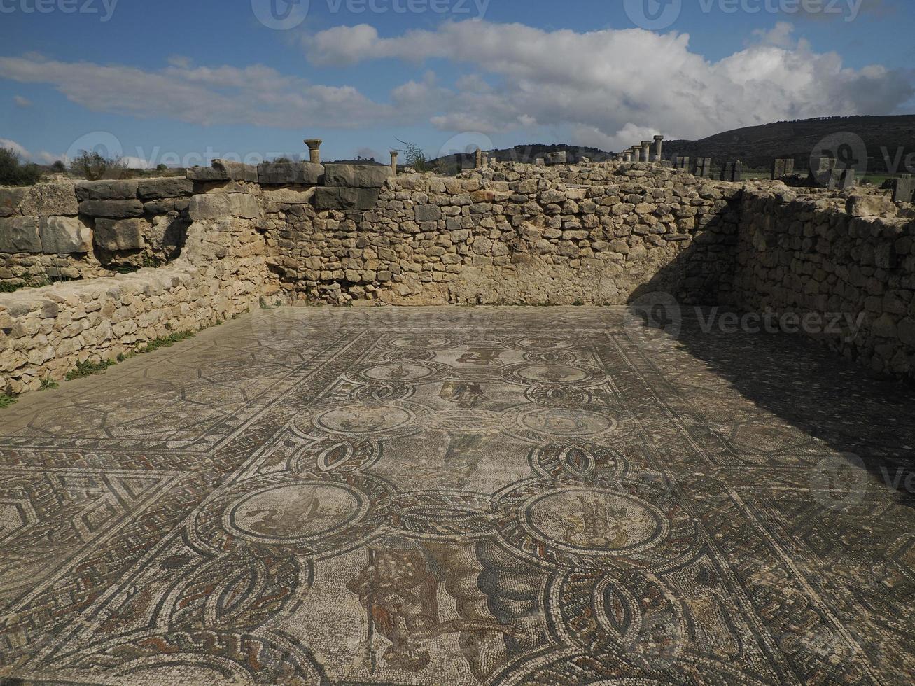 mozaïek- in volubilis Romeins ruïnes in Marokko- best bewaarde Romeins ruïnes gelegen tussen de keizerlijk steden van fez en Meknes foto