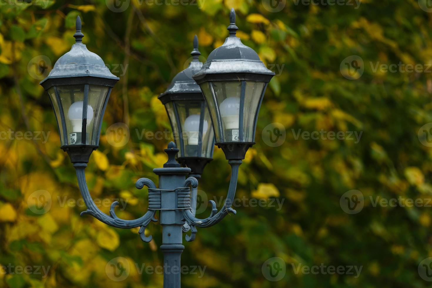 straat licht in voorkant van bomen met een kleurrijk vallen gebladerte. foto