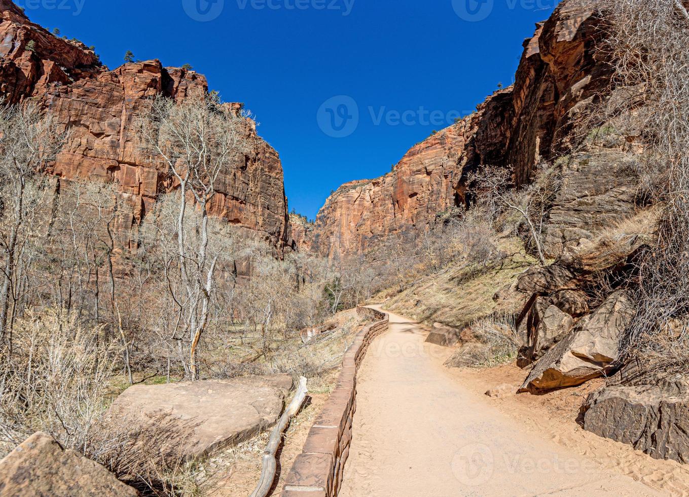 indruk van wandelen spoor naar pijnboom kreek Ravijn overzien in de Zion nationaal park foto