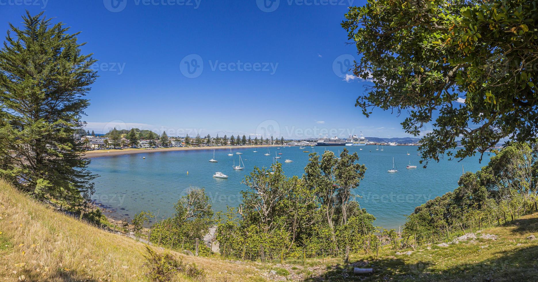 visie Aan haven en reis schip terminal van tauranga stad Aan noordelijk eiland van nieuw Zeeland in zomer foto