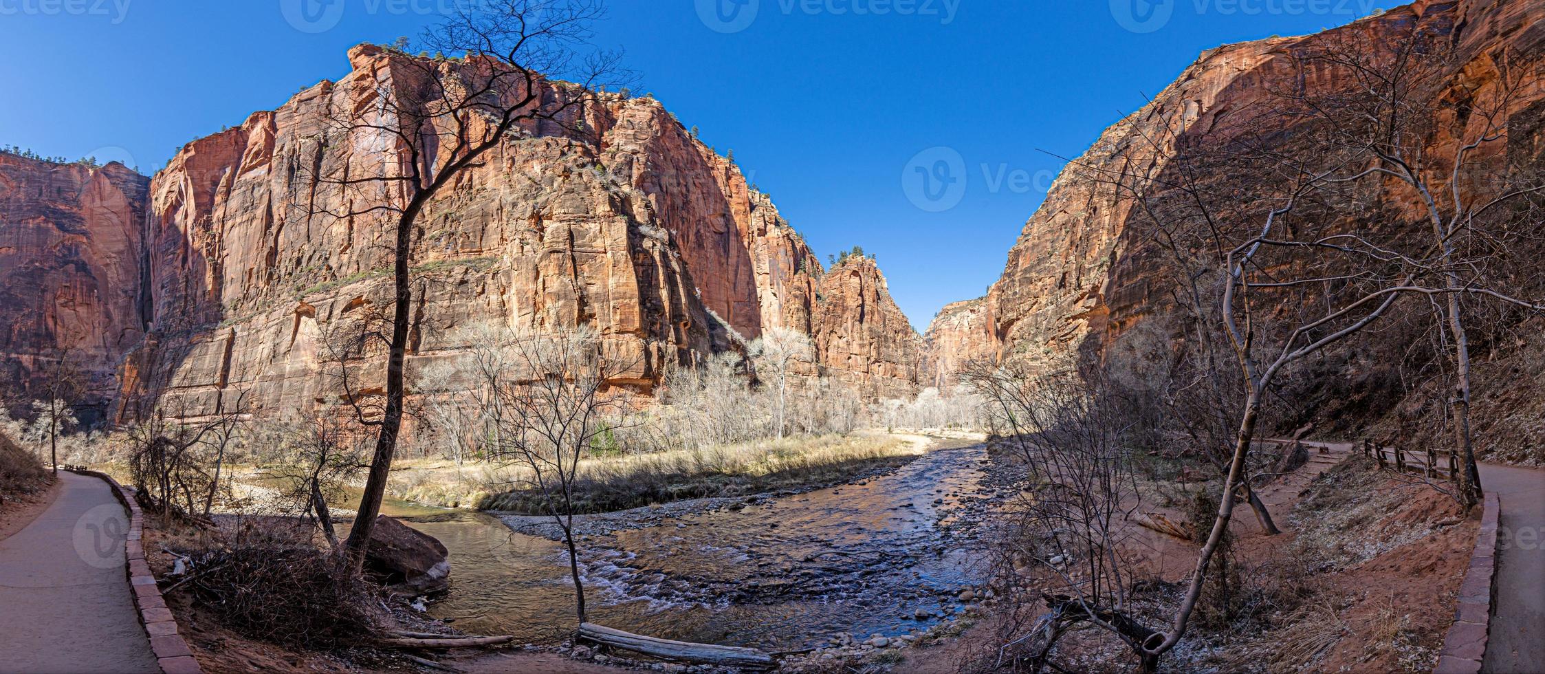 indruk van wandelen spoor naar pijnboom kreek Ravijn overzien in de Zion nationaal park foto