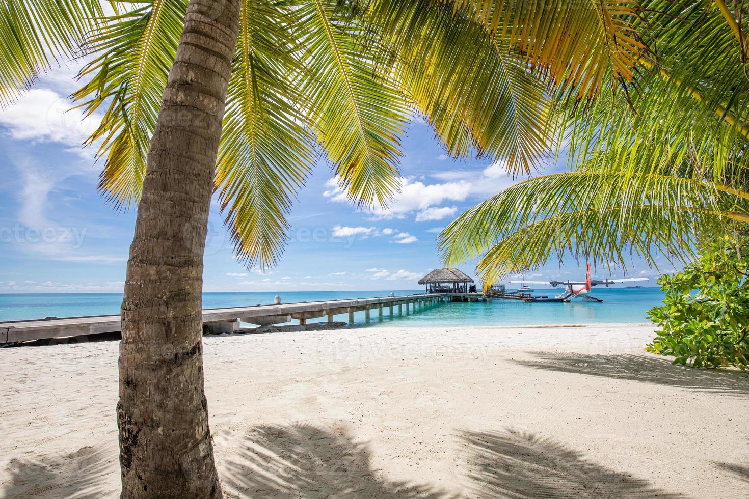 tropisch Maldiven eiland met kokosnoot palm boom, houten brug en water villa. exotisch reizen landschap. mooi zomer eiland paradijs, vredig natuur foto