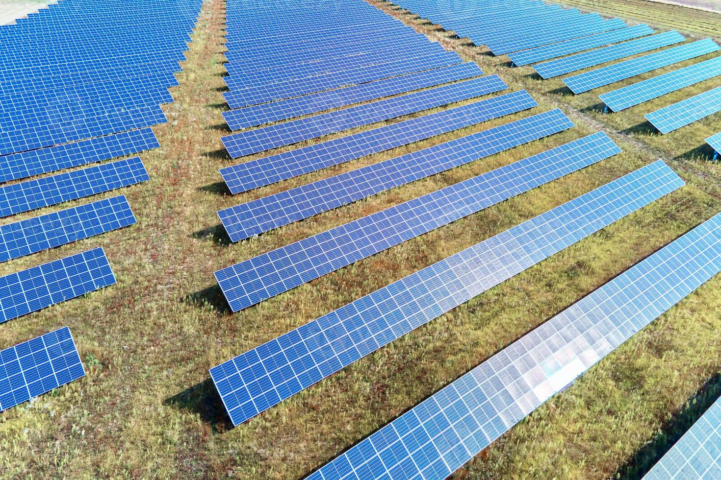 zonne- panelen boerderij in de veld- foto