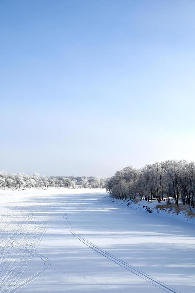 een bevroren rivier- bekleed met vorst gedekt bomen foto