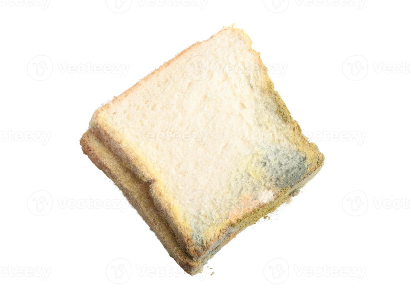beschimmeld plakjes van brood Aan een wit achtergrond foto