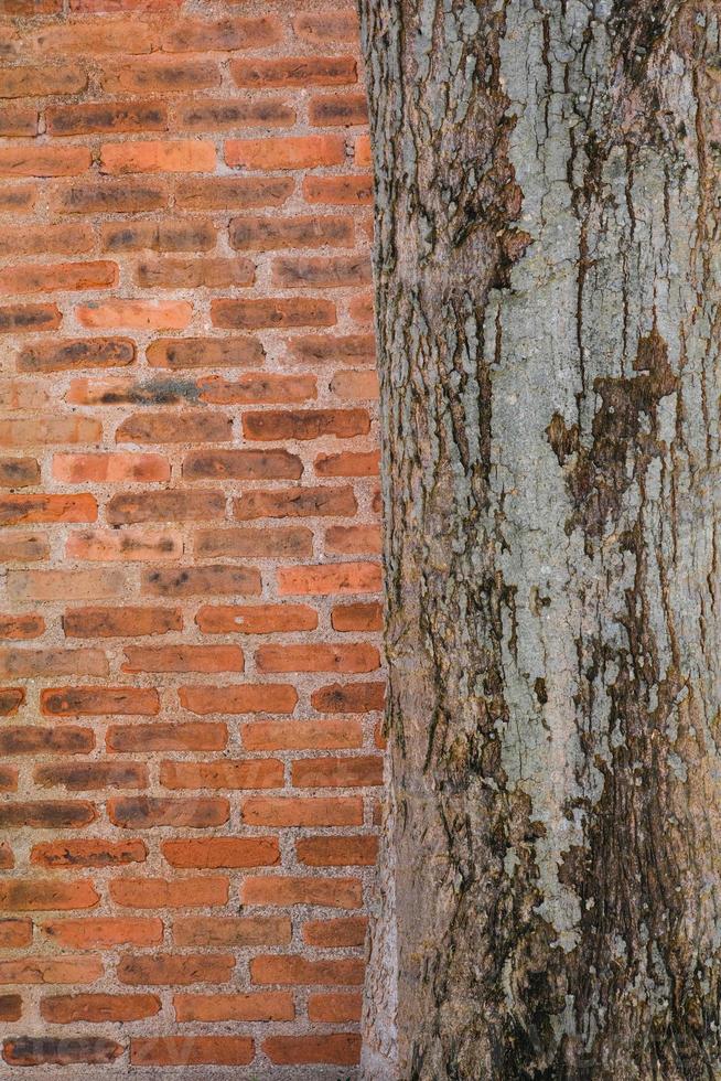 verticaal oranje plein steen blok muur getextureerde en houten boom achtergrond. sterk interieurs huis gebouw. foto