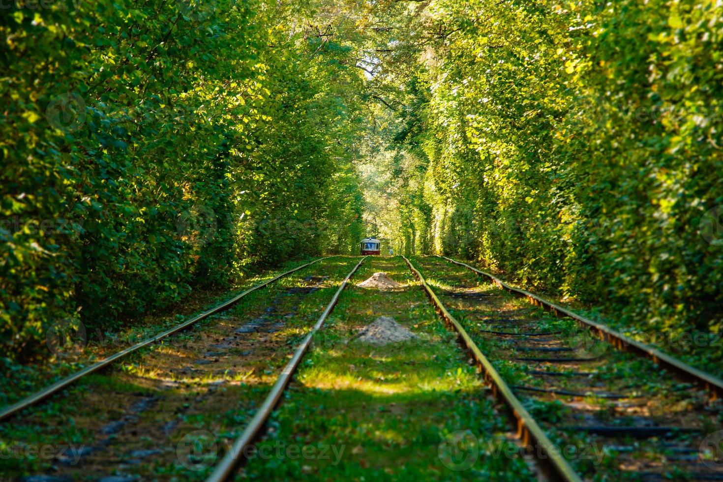 tram en tram rails in kleurrijk Woud foto