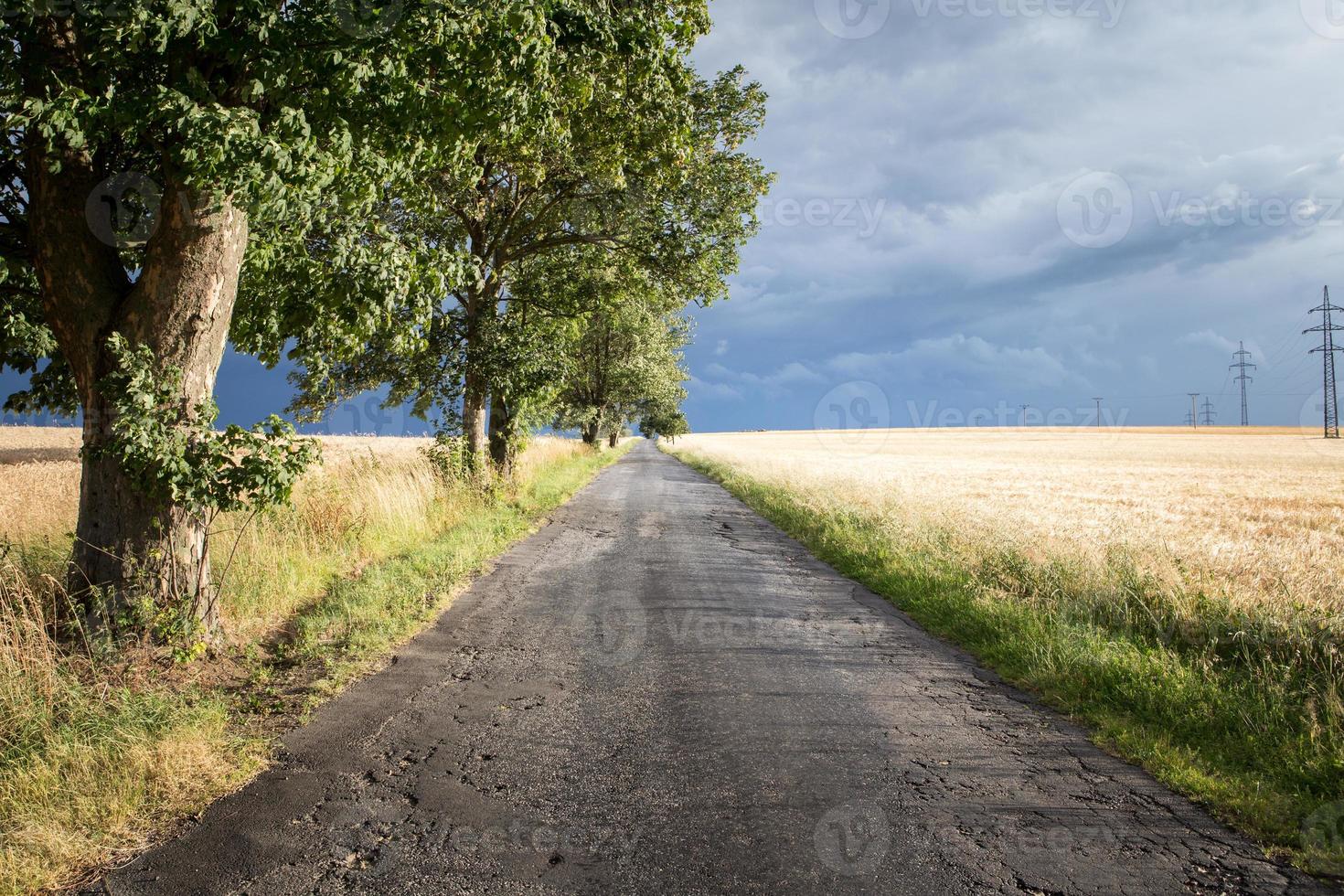 landschap voordat stormen met landelijk weg over ontbijtgranen veld- foto