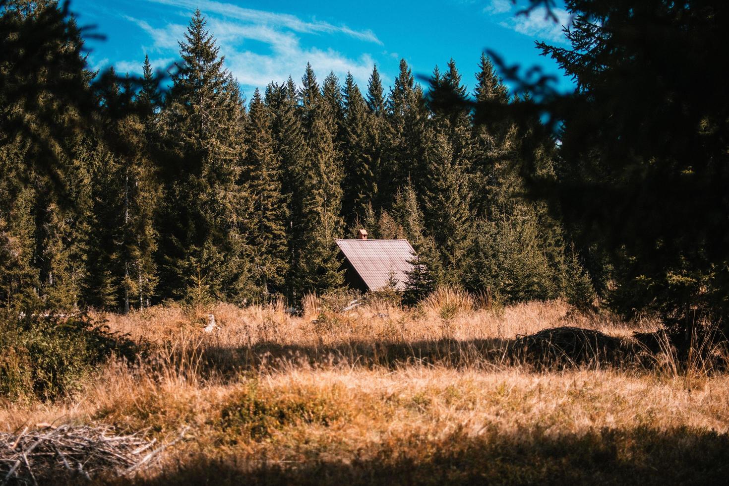 bruin houten huis midden in het bos foto