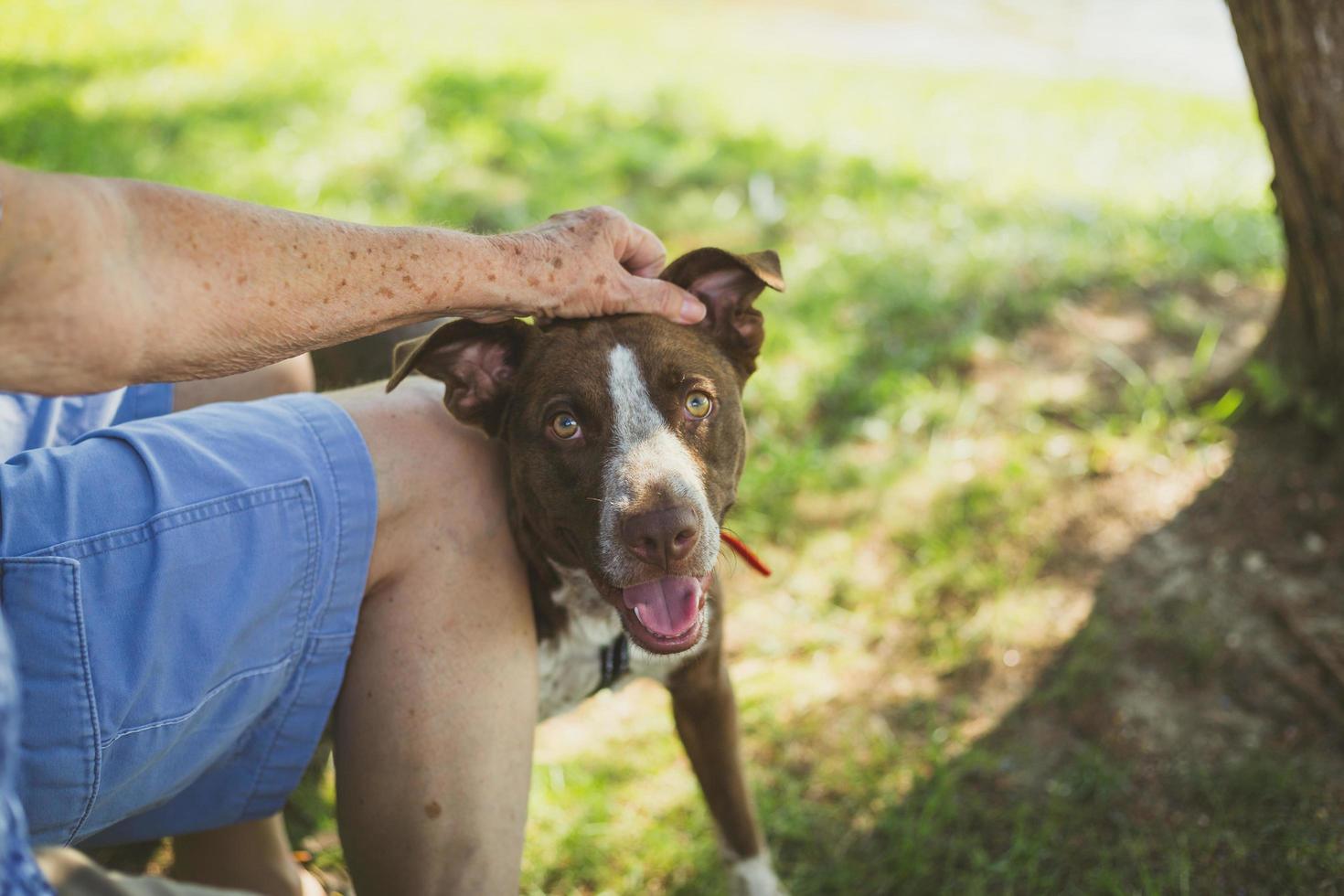 man een hond aaien foto