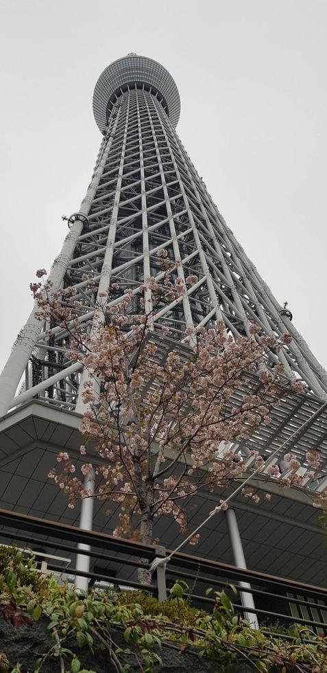 Tokio, Japan in juli 2019. tokyo lucht boom voorheen nieuw tokyo toren is een uitzending, observatie en restaurant toren in sumida foto