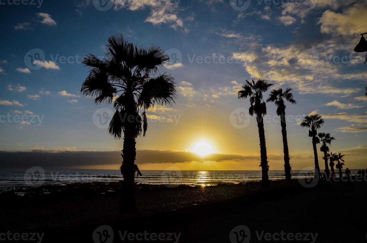 visie met palm bomen foto