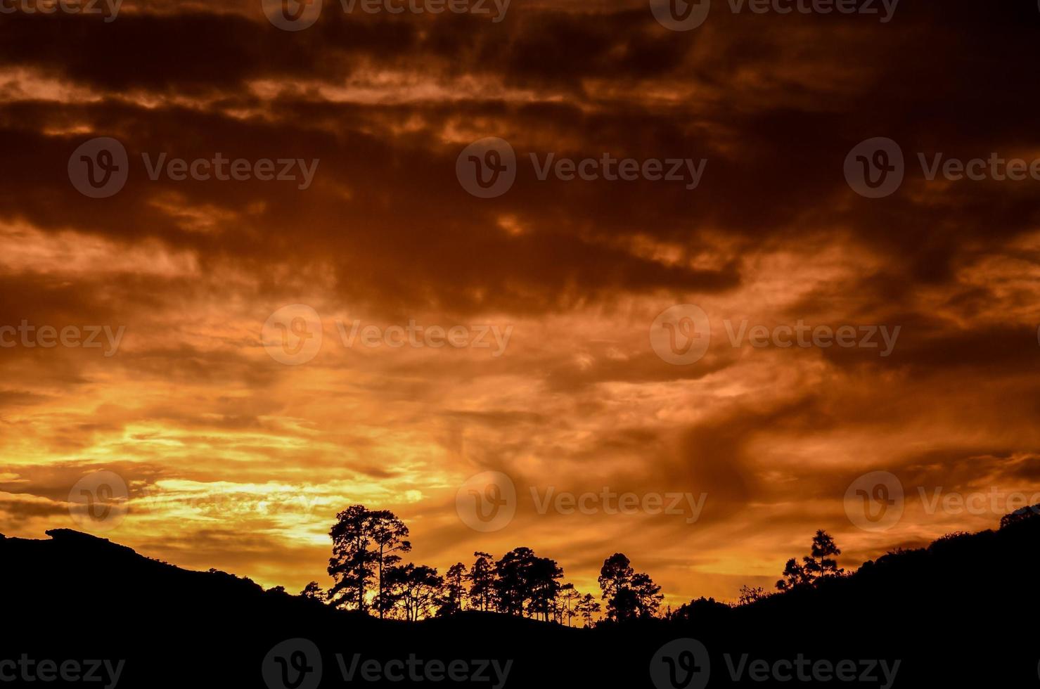 toneel- bergen visie foto