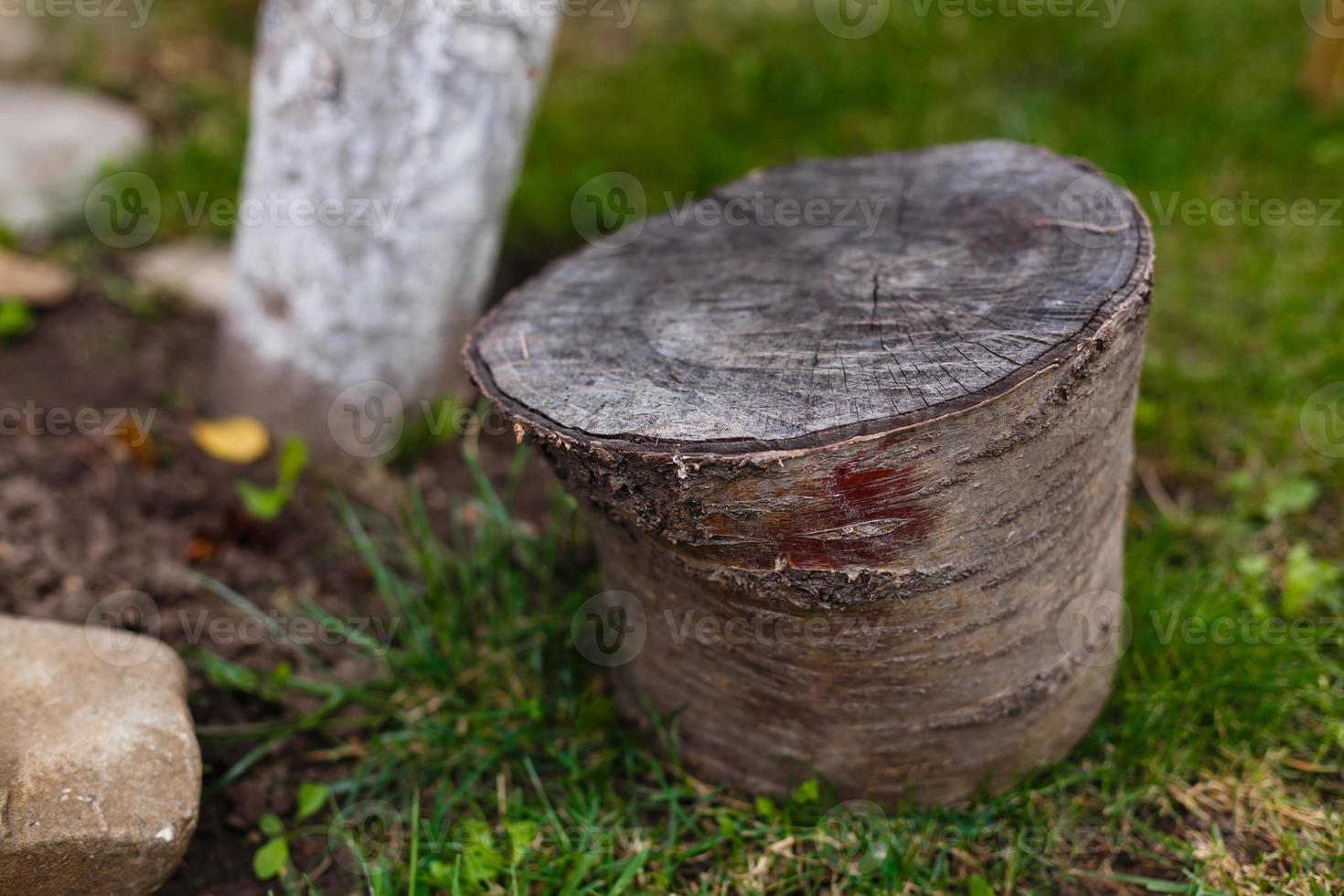 stomp boom fabriek Aan groen veld- gebruik voor tuinieren onderwerp foto