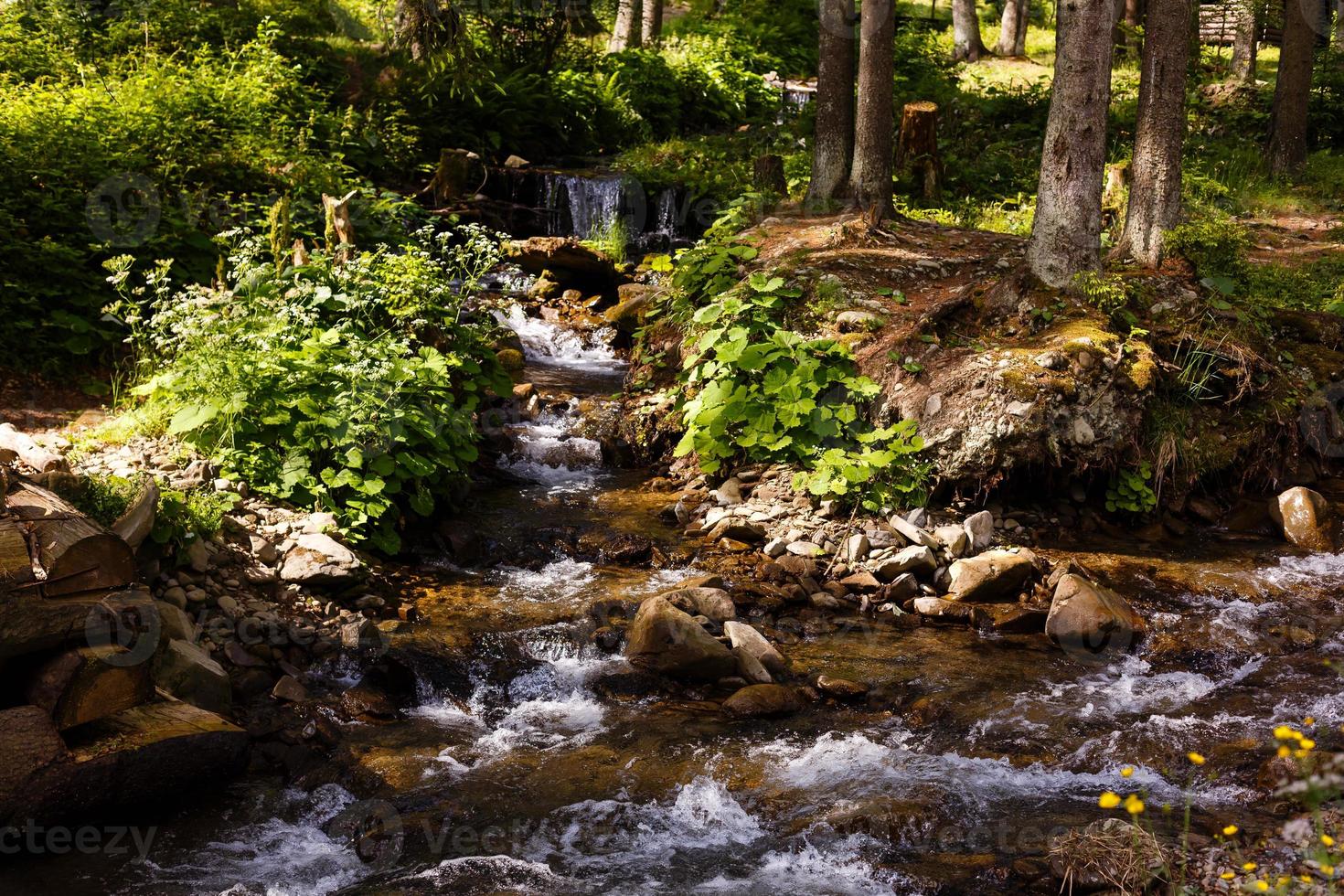 mooi landschap stroomversnellingen Aan een bergen rivier- in zonlicht. gefilterd beeld kleurrijk effect. foto