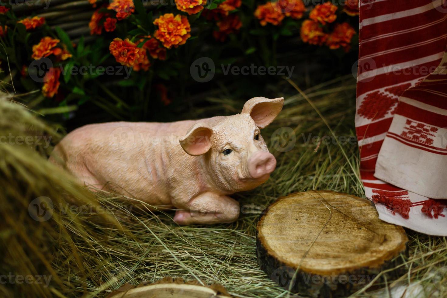 een jong big Aan hooi en rietje Bij varken fokken boerderij een weinig varken Aan de hooi foto