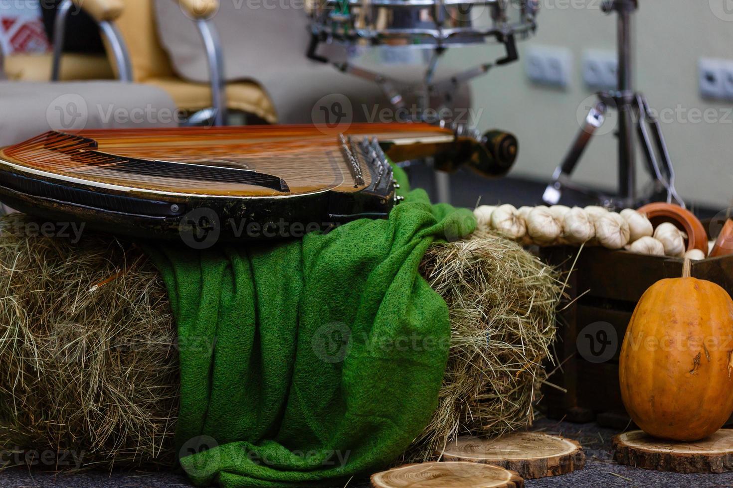 bandura dichtbij omhoog, oekraïens musical instrument foto