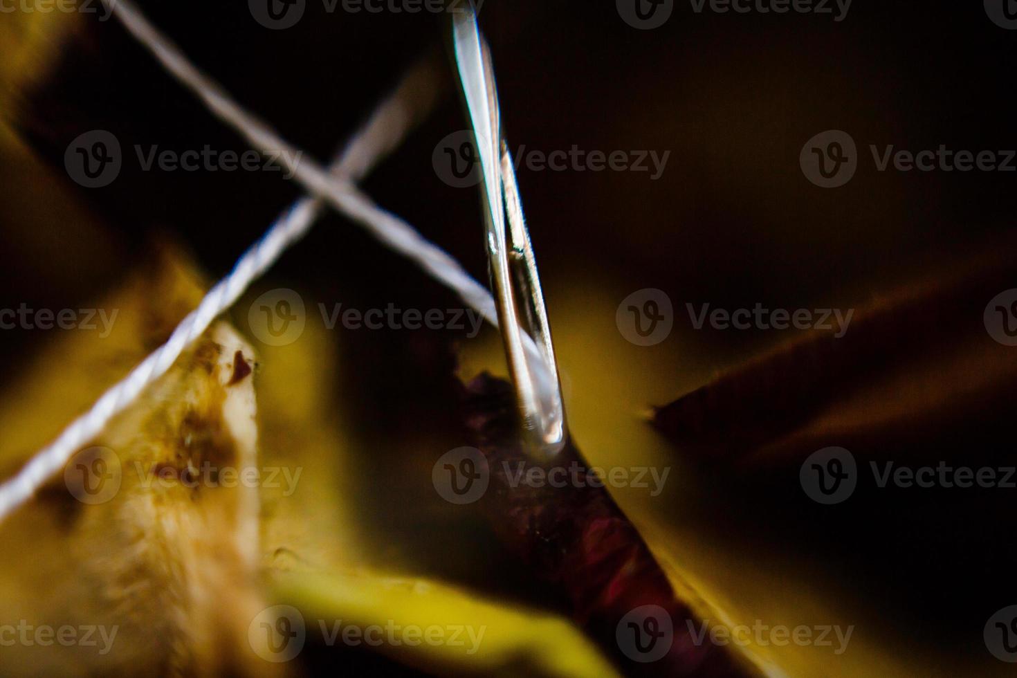 dichtbij omhoog van een naald- in hooiberg foto