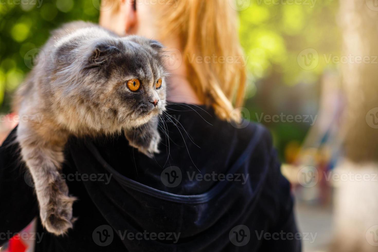 mooi jong vrouw met schattig kat resting Bij huis foto