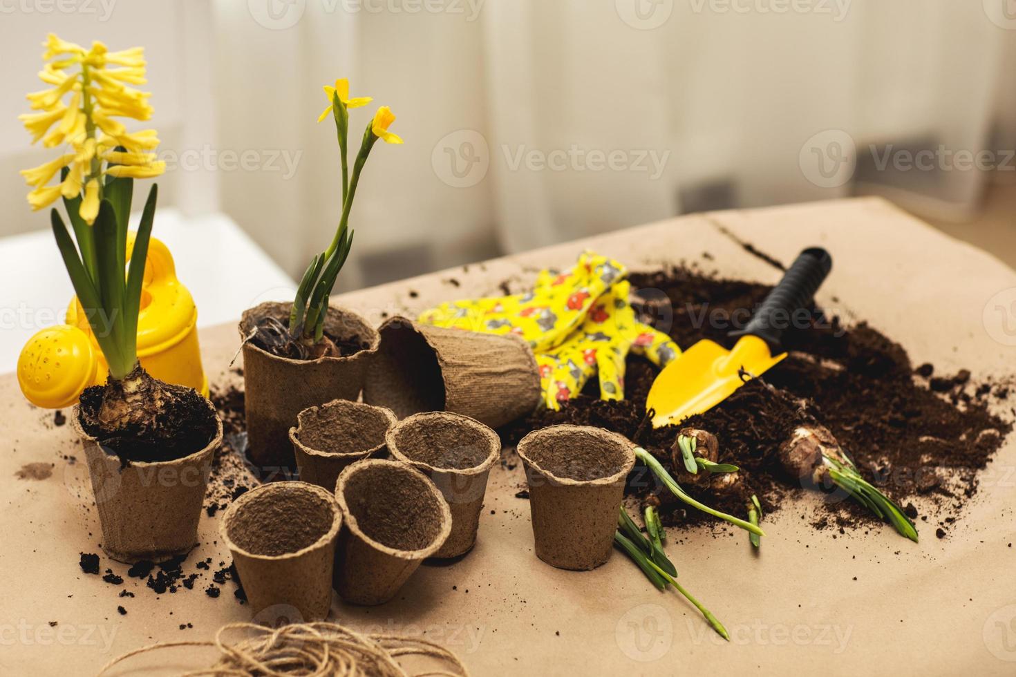 tuinieren samenstelling met geel bloemen en tuinieren hulpmiddelen, zaailingen en gewassen, baby's planten, tuinieren handschoenen, oppotten bodem, bolvormig zaad, jonquille foto