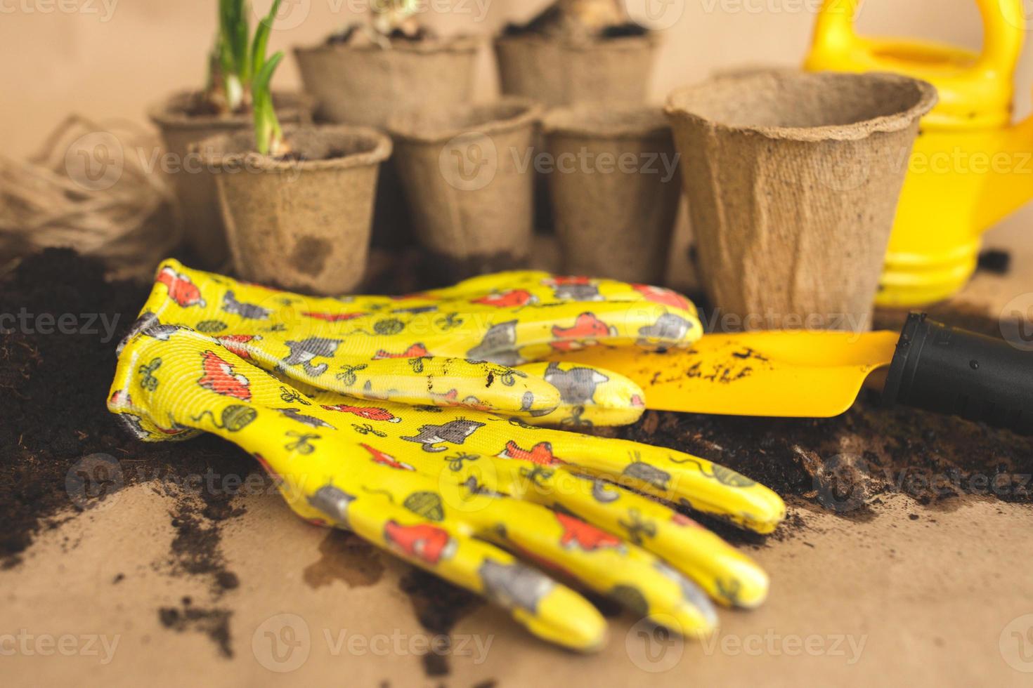 tuinieren samenstelling met geel bloemen en tuinieren hulpmiddelen, zaailingen en gewassen, baby's planten, tuinieren handschoenen, oppotten bodem, bolvormig zaad, jonquille. plaats voor tekst, spandoek. verhelderend foto