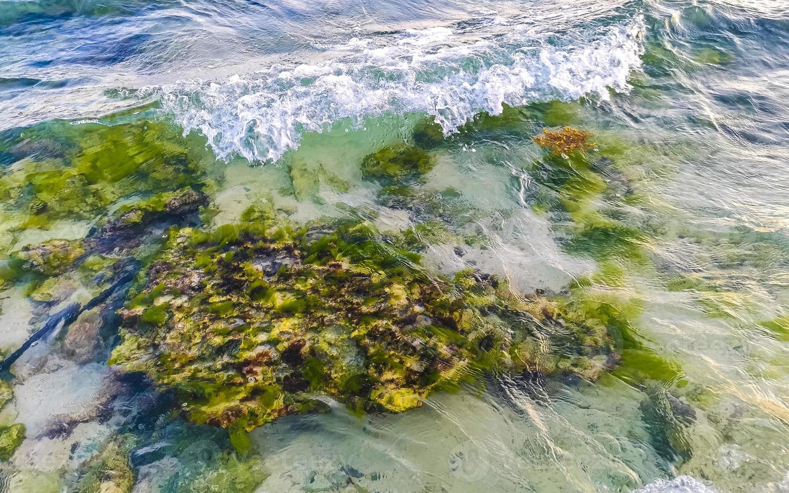 stenen rotsen koralen turkoois groen blauw water Aan strand Mexico. foto