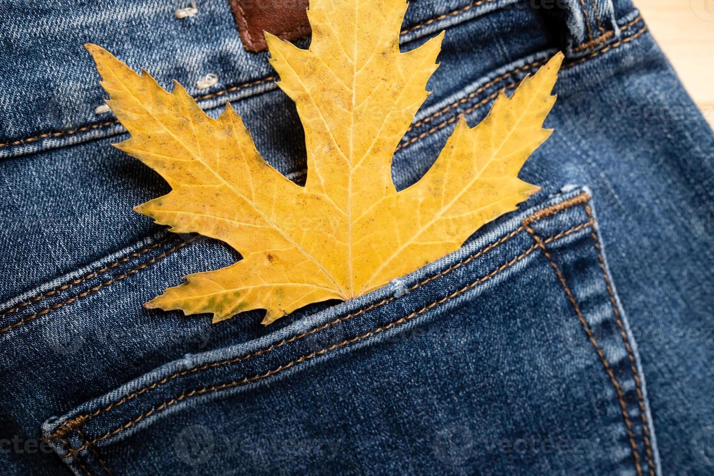 geel esdoorn- blad in de terug zak- van jeans, Aan een houten plank. seizoensgebonden uitverkoop concept. plat. foto