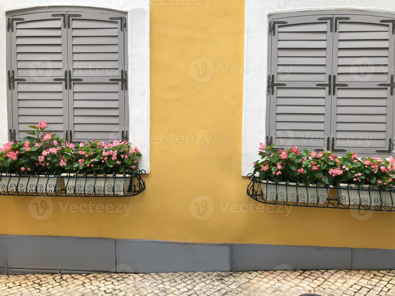 wijnoogst mooi twee venster en bloem in een pot en geel muur straat kant. foto