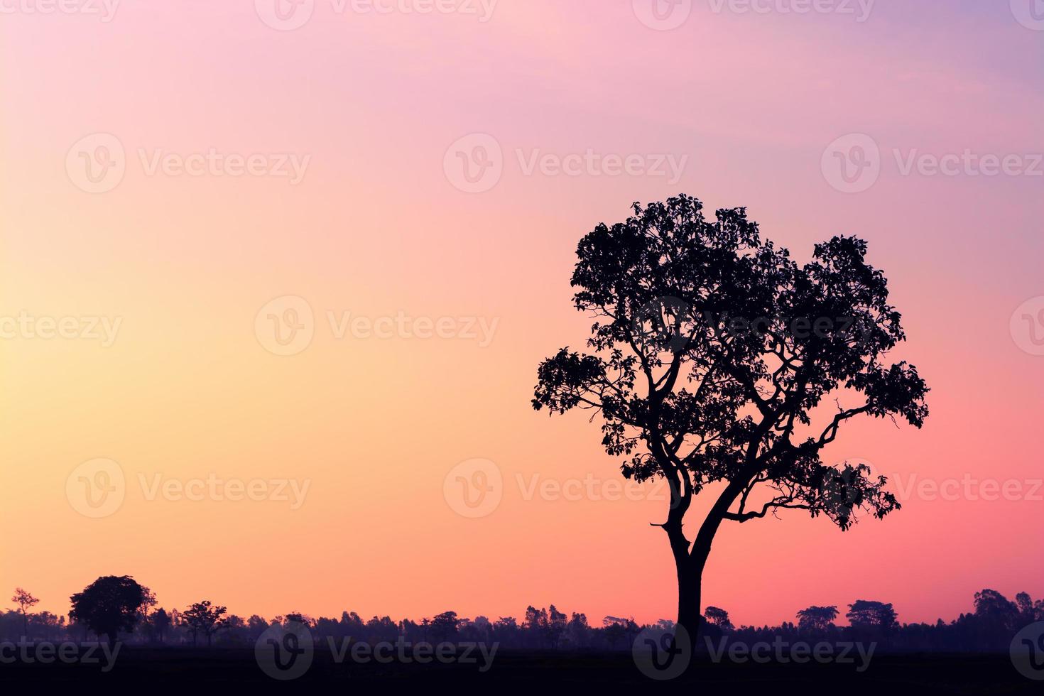 zonsondergang landschap achtergrond foto