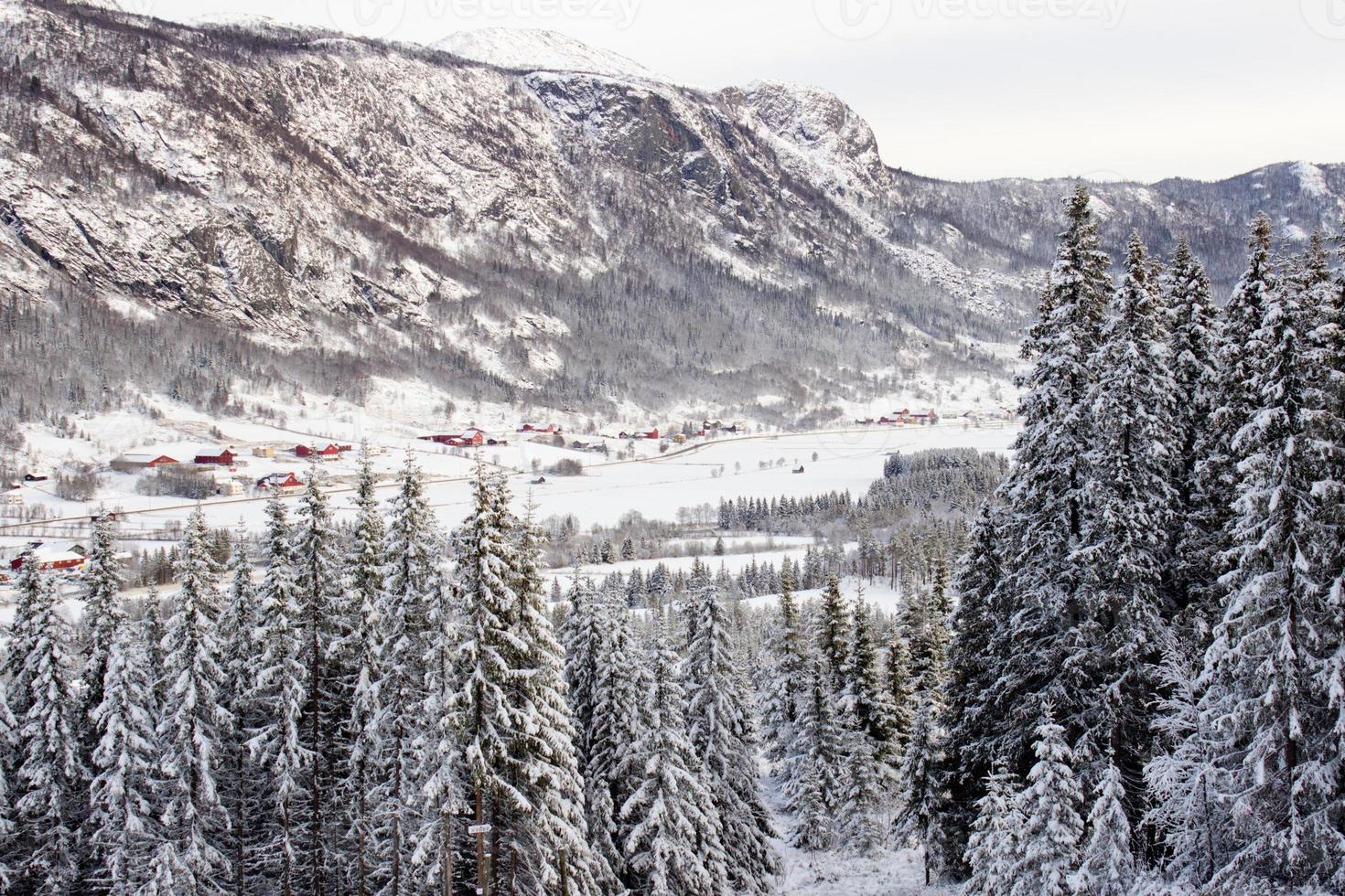 mooi Noors winter landschap van ski helling Aan vallei van hemsedal buskerud noorwegen, seizoensgebonden ansichtkaart, behang, afdrukken voor doek, omslag ontwerp foto