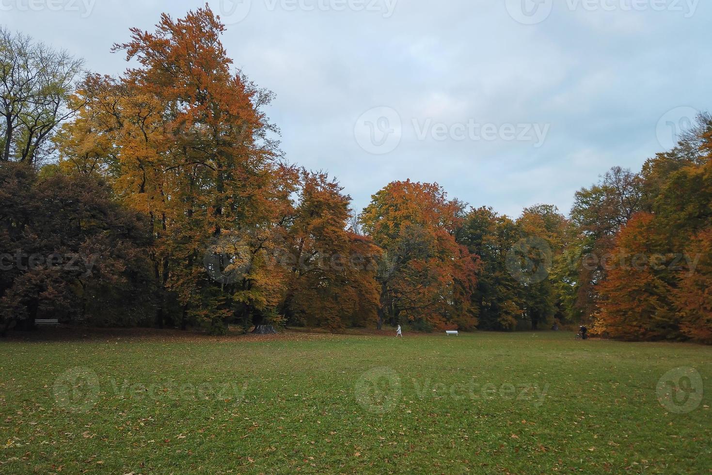 herfst bomen en bladeren met kleurrijk gebladerte in de park. foto
