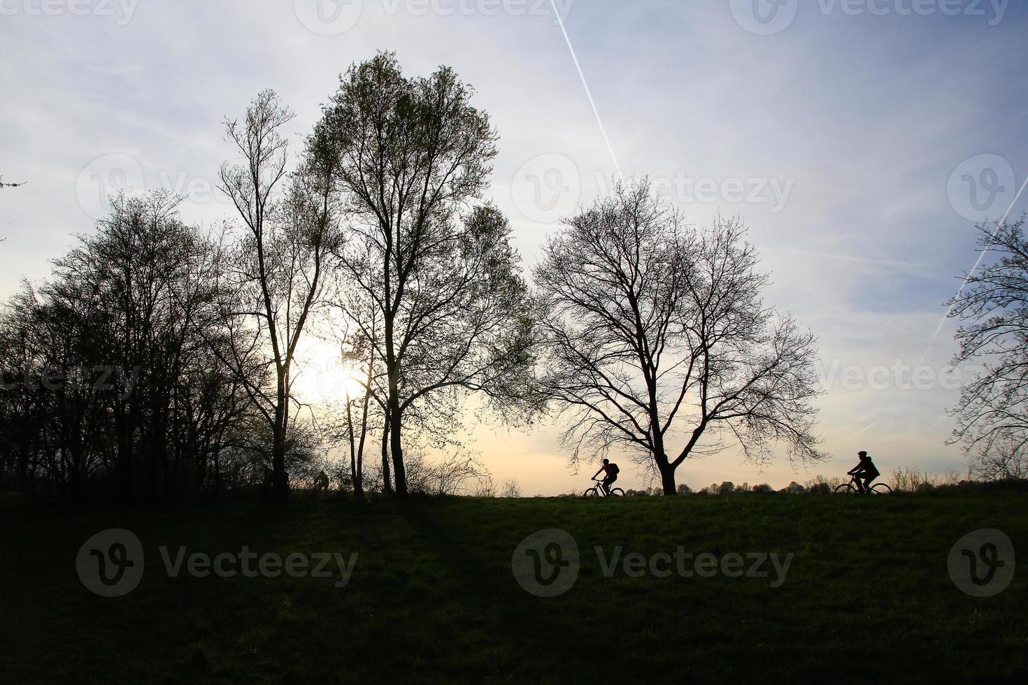 silhouet van mensen rijden de fiets Aan een landelijk weg Bij zonsondergang langs Donau rivier- in Regensburg, duitsland, Europa. foto