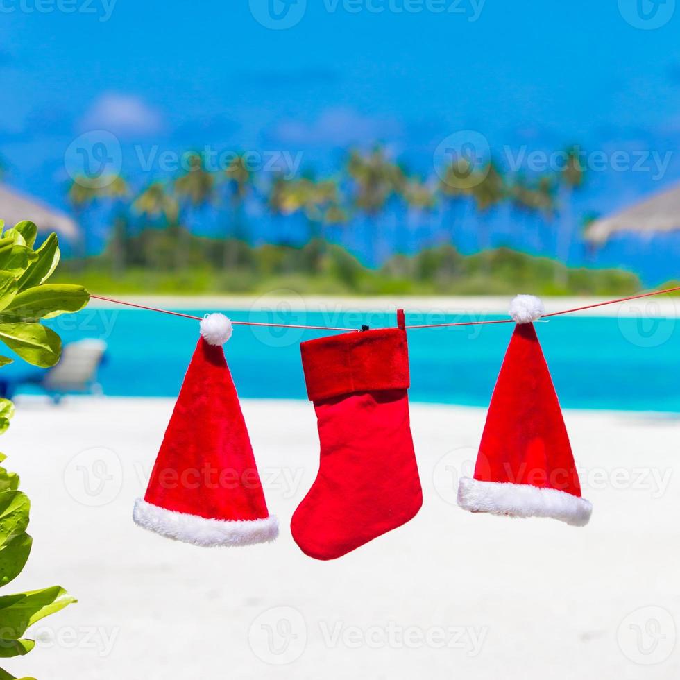 rood de kerstman hoeden en Kerstmis kous tussen palm bomen Aan wit strand foto