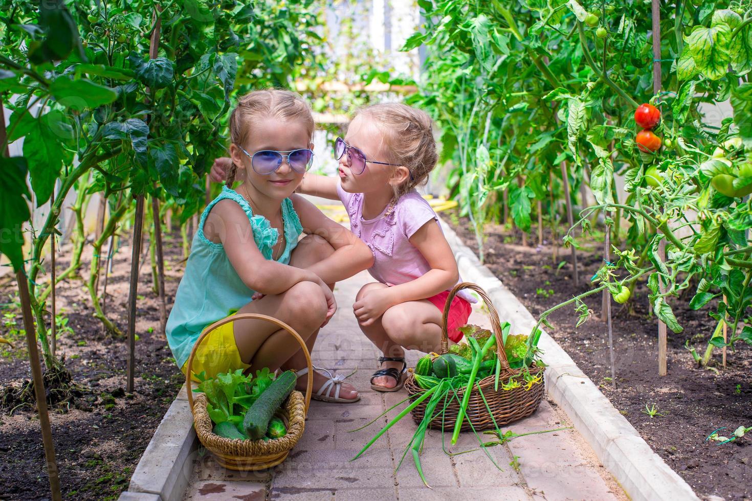 schattig weinig meisjes verzamelen Bijsnijden komkommers in de kas foto