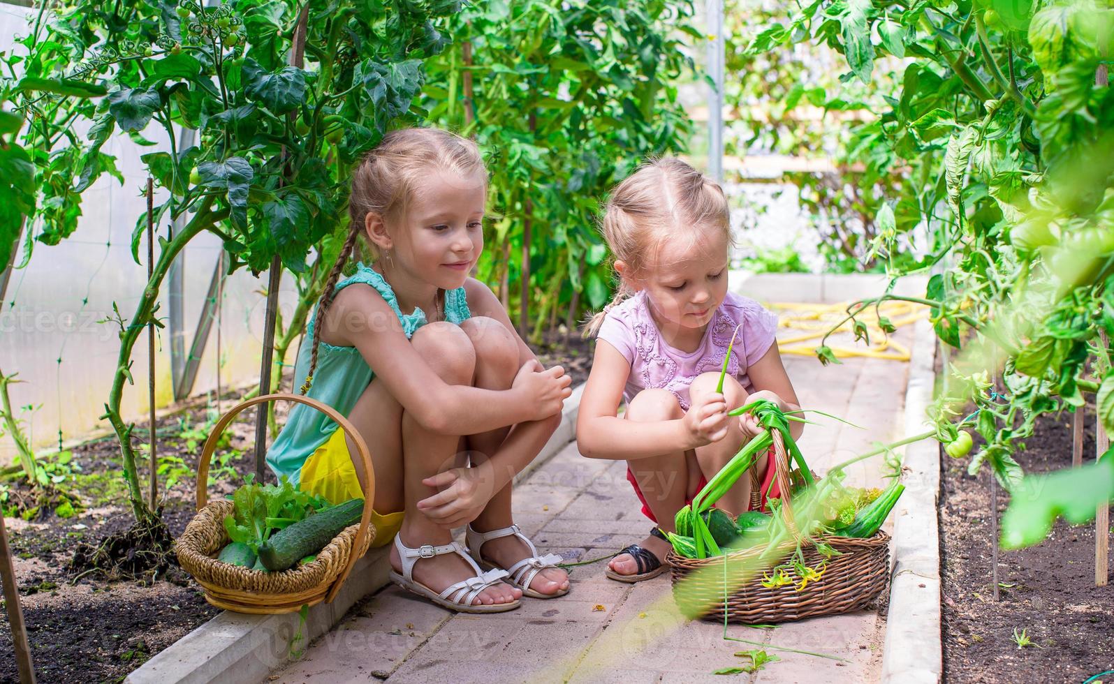 schattig weinig meisjes verzamelen Bijsnijden komkommers in de kas foto