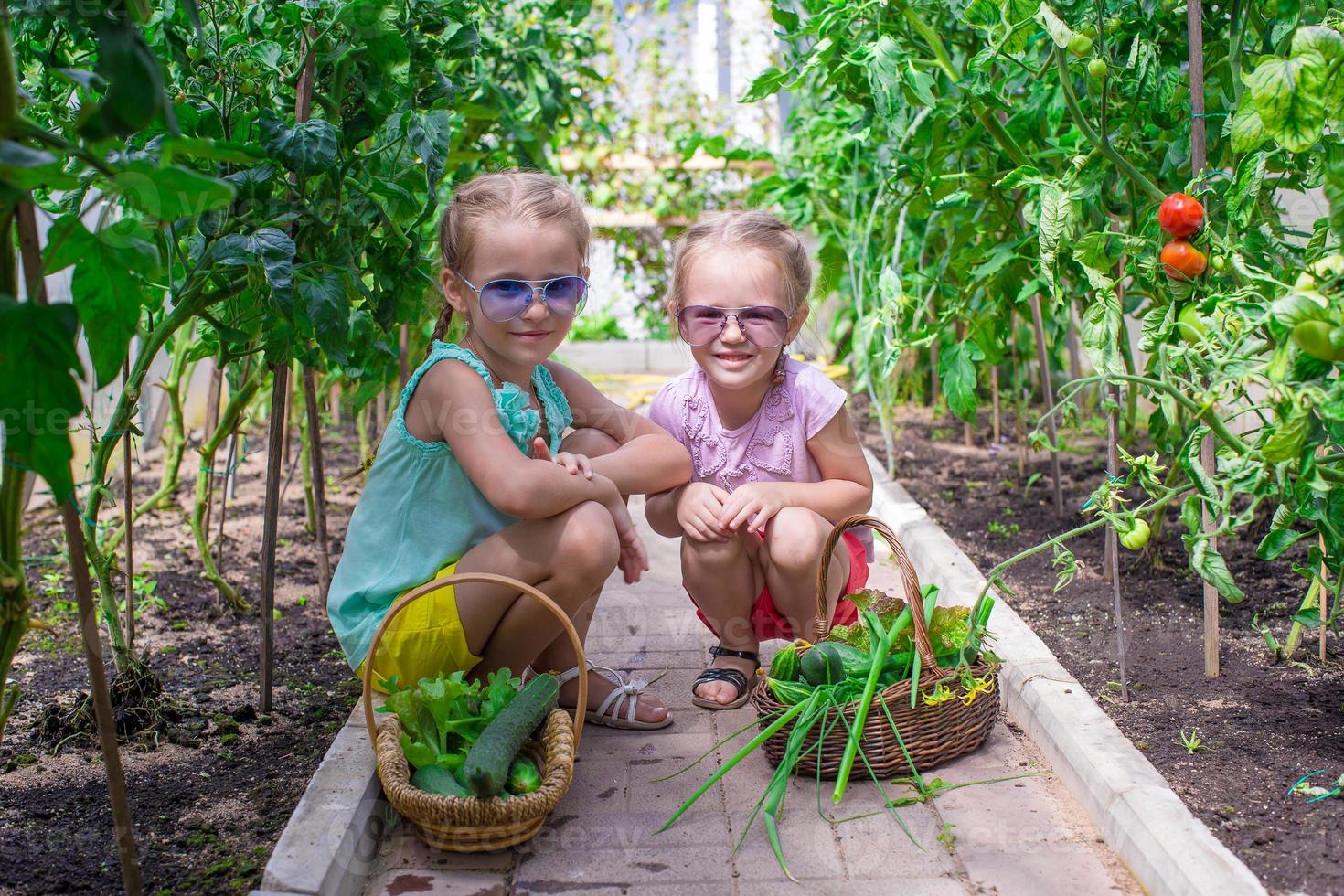 schattig weinig meisjes verzamelen Bijsnijden komkommers in de kas foto