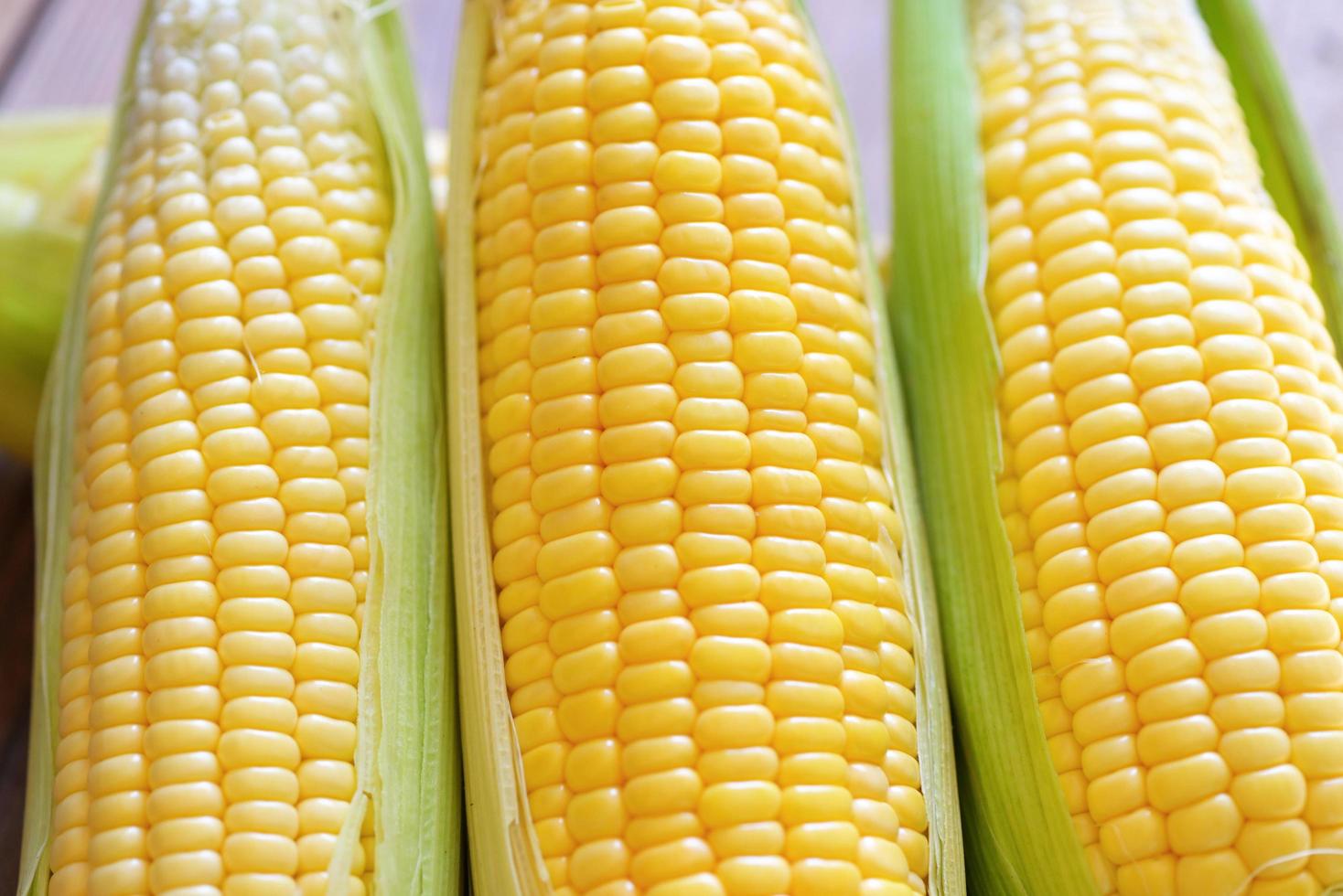 vers cor Aan maïskolf Aan houten achtergrond, oogst rijp maïs biologisch, zoet maïs voor Koken voedsel foto