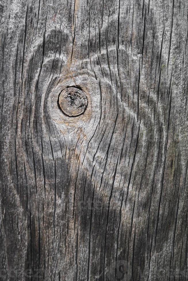 dichtbij omhoog van hout structuur met natuurlijk vezels, bord materiaal voor bouw foto