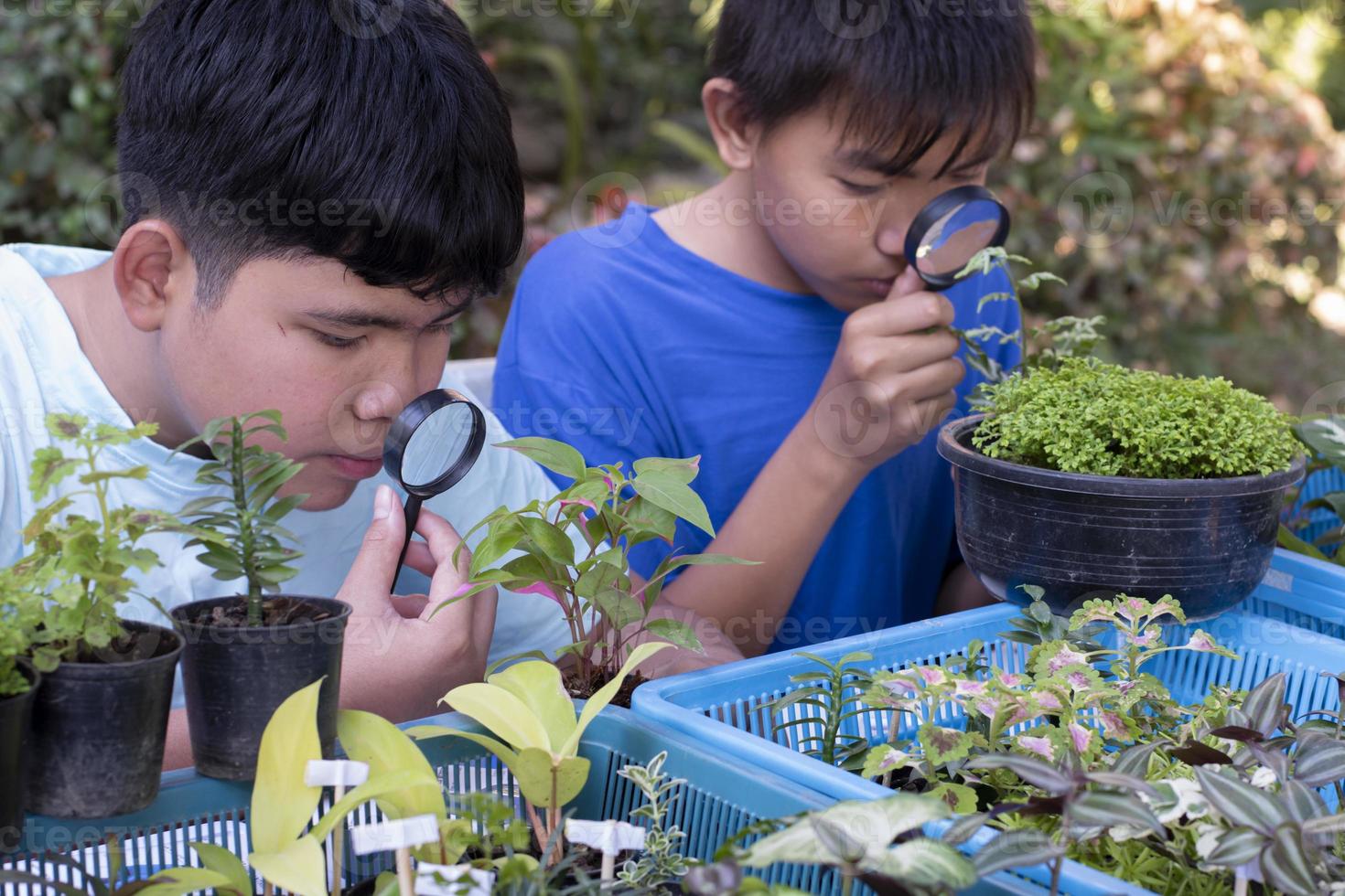 groep van jong Aziatisch jongen houdt vergroten glas en ingemaakt planten en op zoek door de lens naar studie fabriek soorten en Doen project werk, buitenshuis klas aan het leren concept, zacht en selectief focus. foto