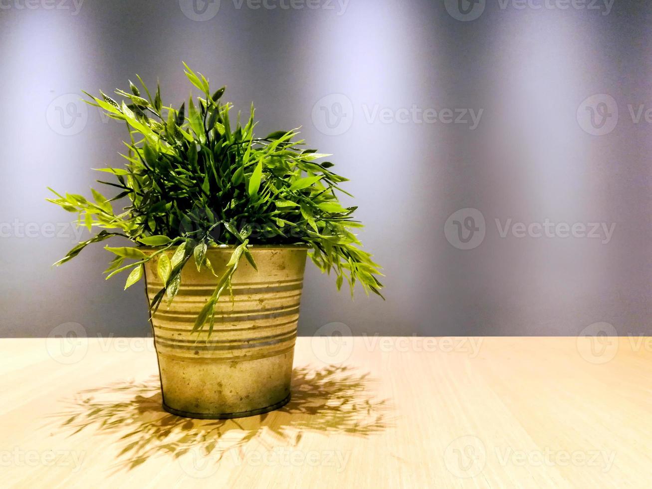 sier- planten in wijnoogst pot Aan houten schappen met naar beneden lichten en Mortier grijs achtergrond foto