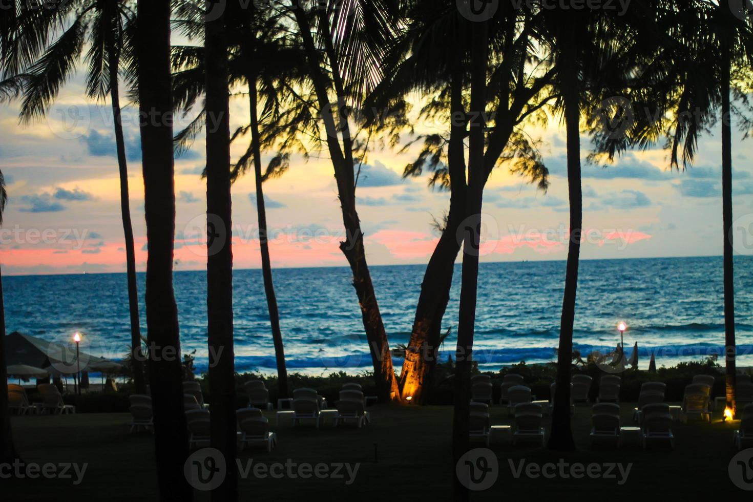 blauw roze en rood zonsondergang over- zee strand met palmboom silhouet foto