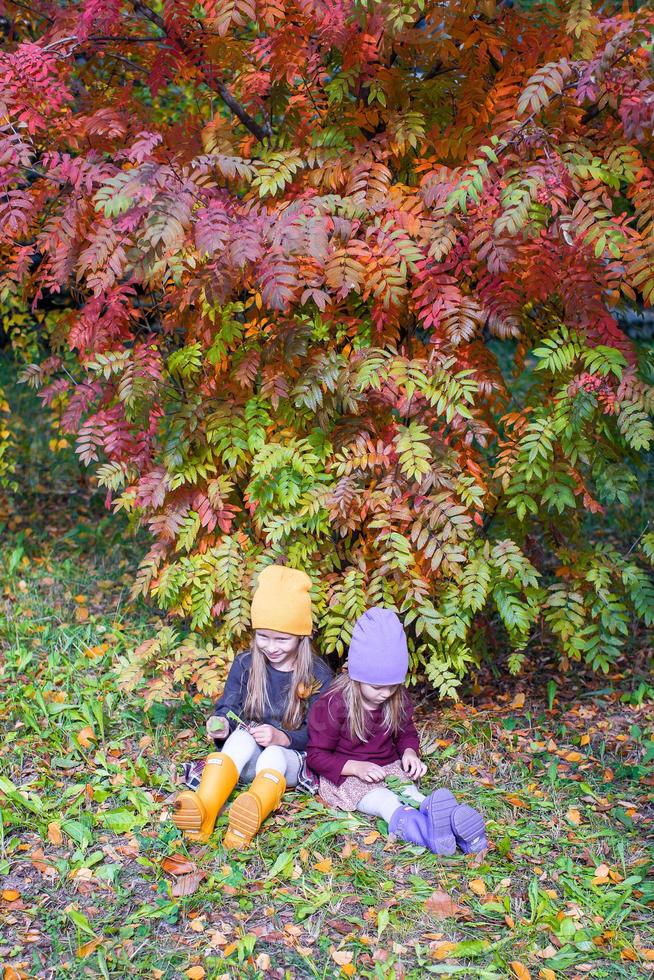 twee aanbiddelijk meisjes in Woud Bij warm zonnig herfst dag foto