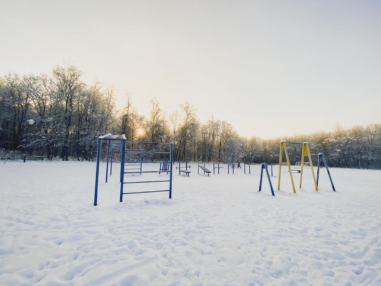 winter zonsondergang in sneeuw gedekt park. seizoen en verkoudheid weer concept foto